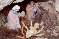 Santo e Feliz Natal